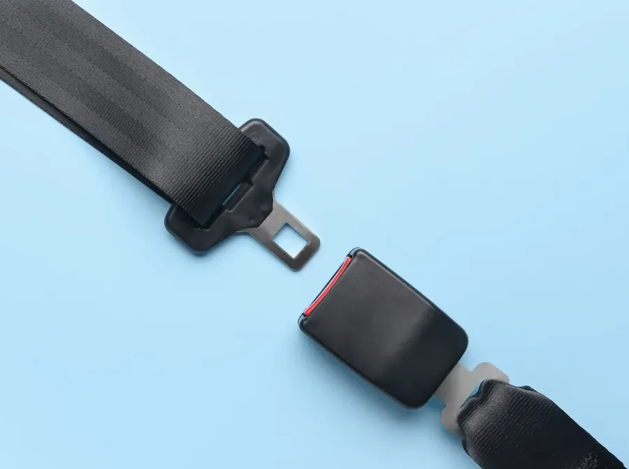 Seat belt webbing, latch plate and buckle laid out against a plain background.